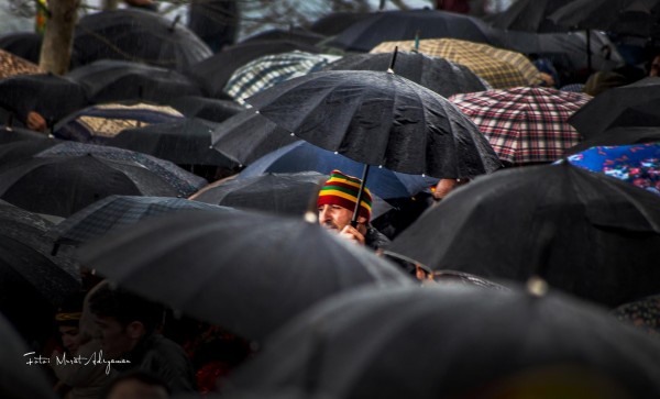 11087461_10153191860579267_356731702_o