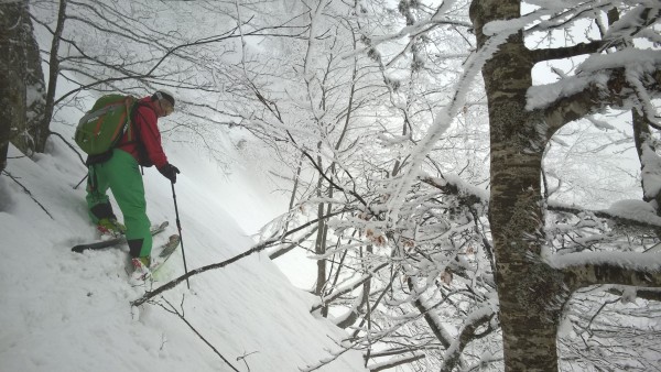 WP_20150227_13_17_31_Pro