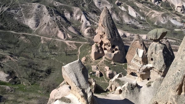 WP_20150308_12_34_34_Pro